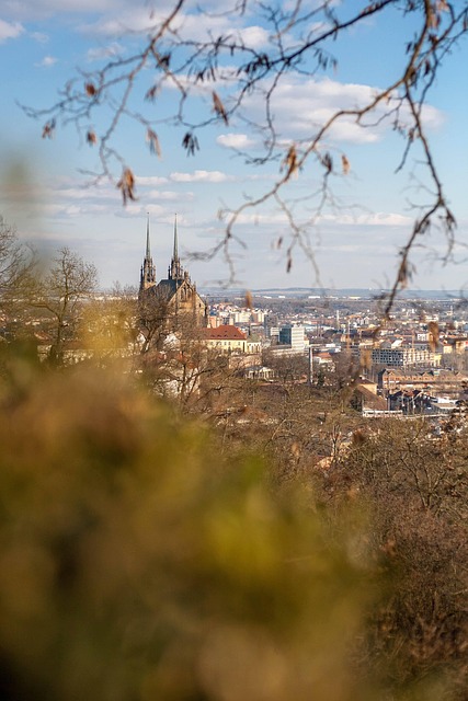 poradenství výběr sprchové kabiny a walk-in sprchy ALVIDA Brno